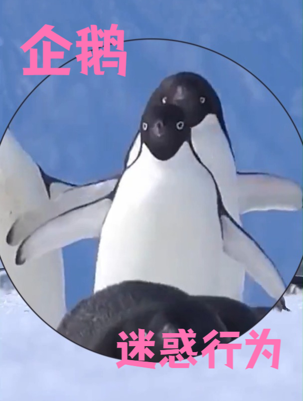 我跌跌撞撞奔向你