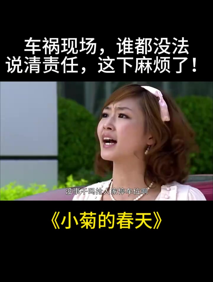 小菊的春天车祸现场谁都没法说清责任这下麻烦了