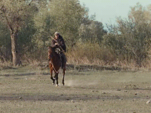 假骑马假腹肌,《我的阿勒泰》于适一出场,打了多少小鲜肉的脸?