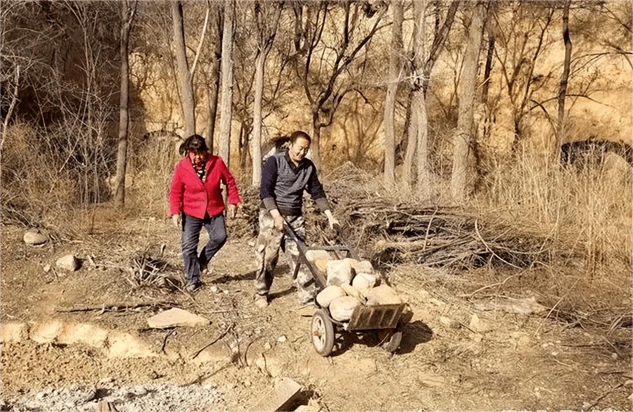 老母亲去世4天,儿子发现床上有股臭味,一看床底直接大哭起来