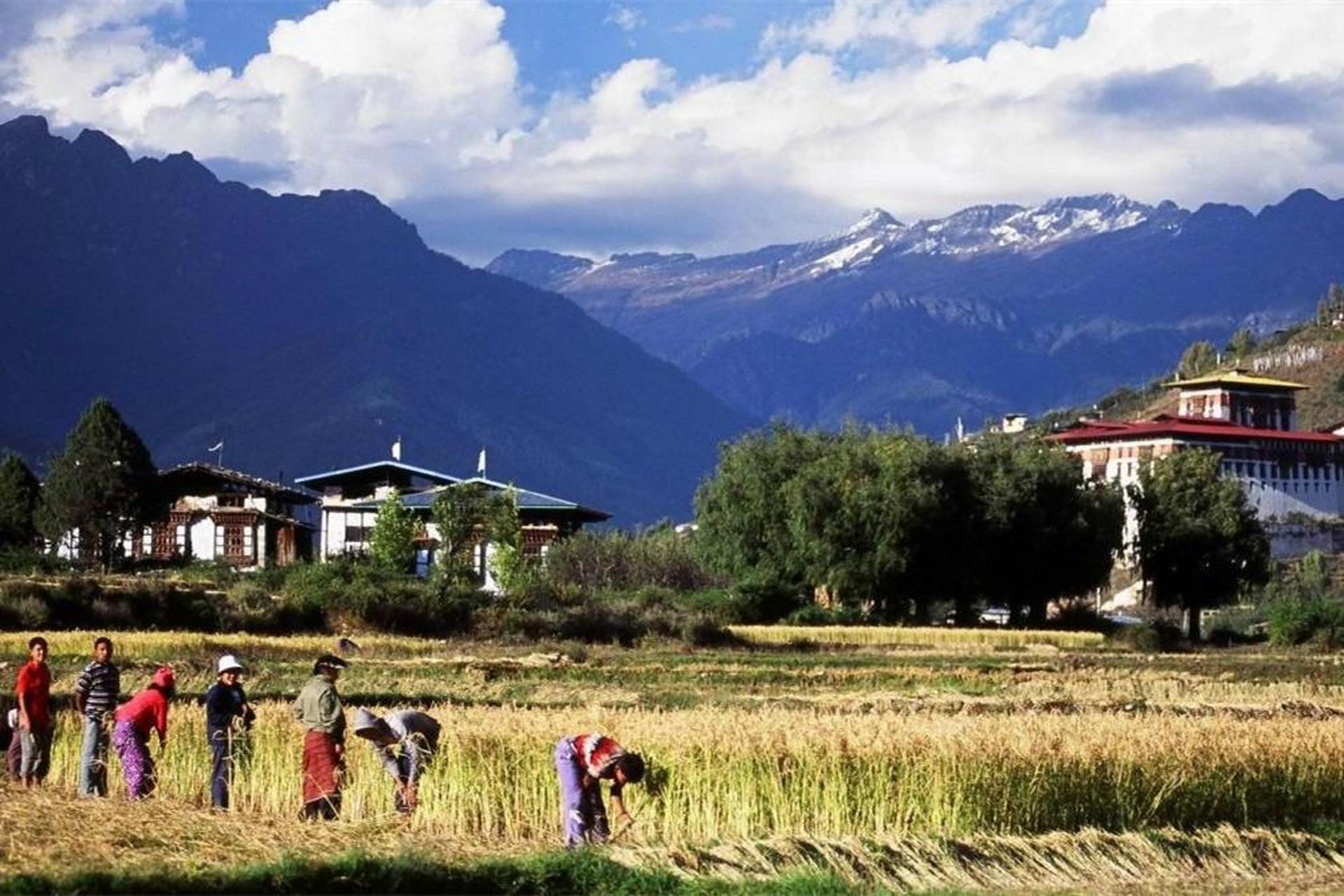 不丹,内陆国,与中国接壤未建交,拥有古老传统和独特文化.