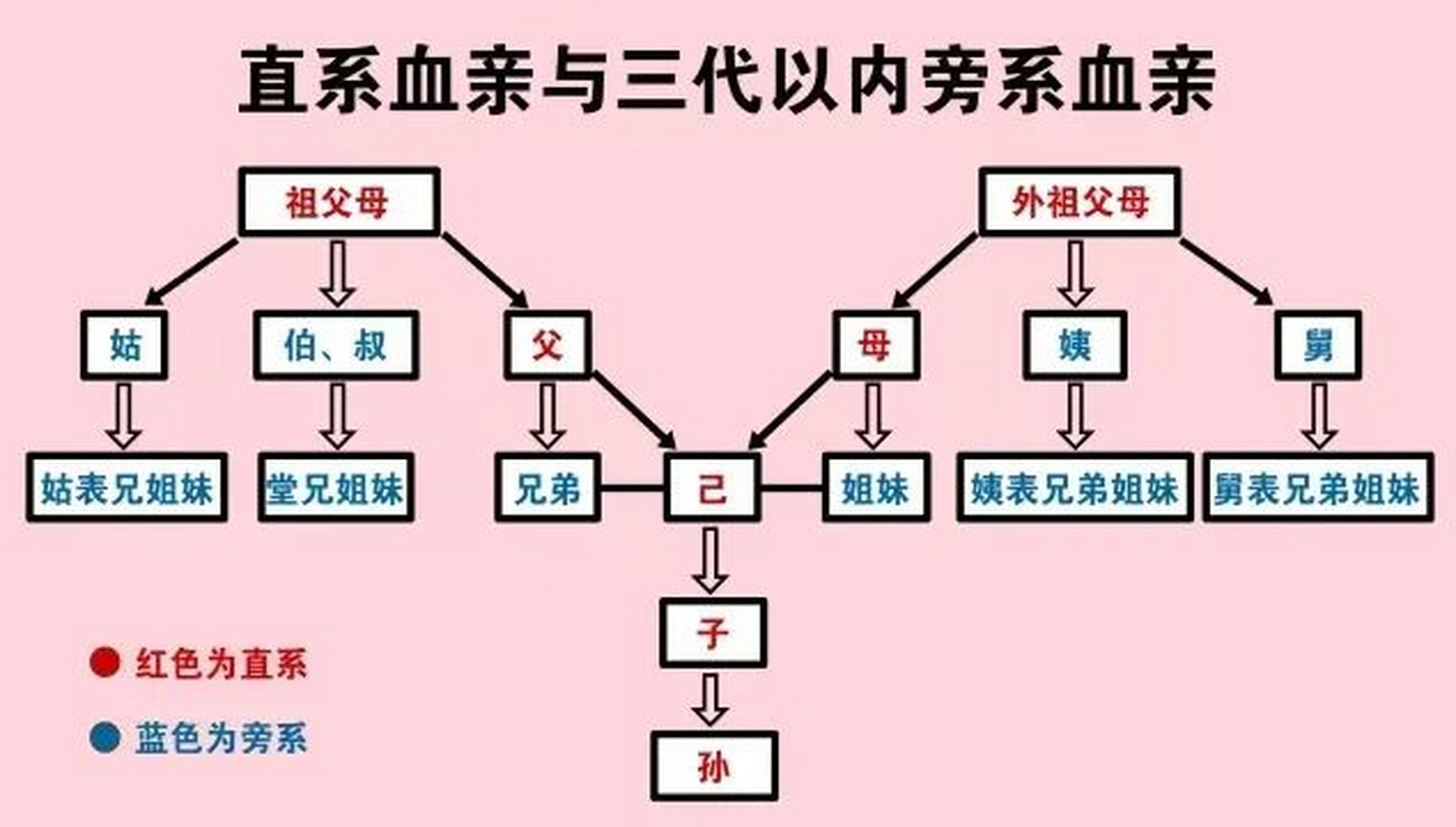 近姻亲关系图解图片