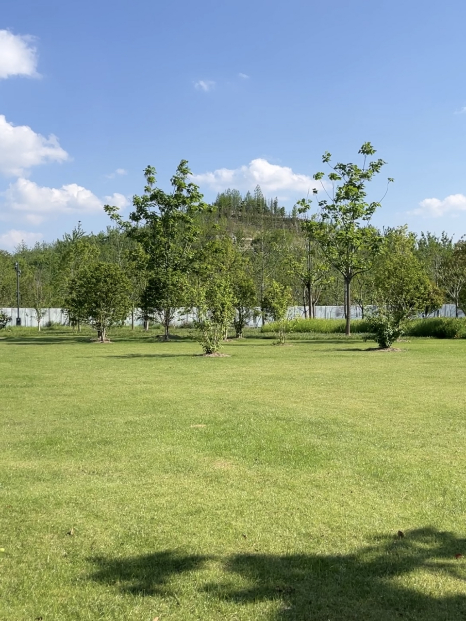 上海21亿造的双子山,为何只有48米?