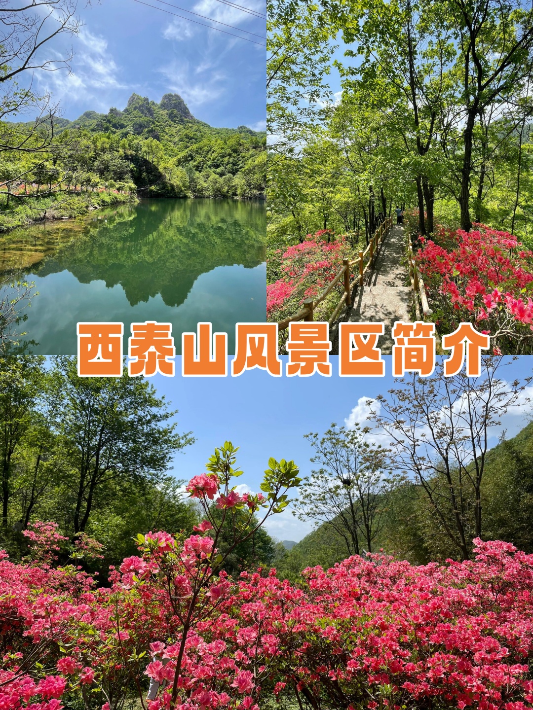 西泰山风景区简介图片