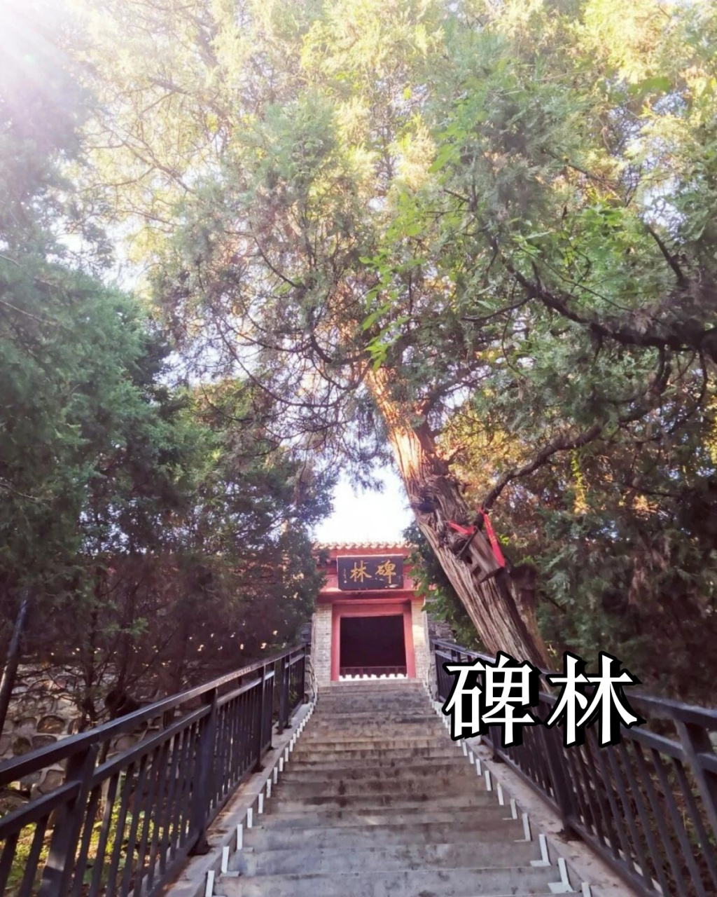 铜川药王山简介图片