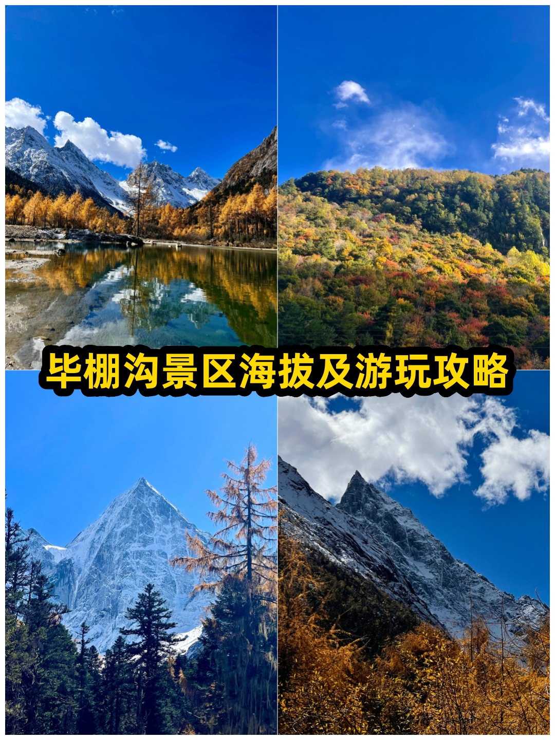 毕棚沟位于四姑娘山背面,川西的小瑞士大熊猫栖息地!
