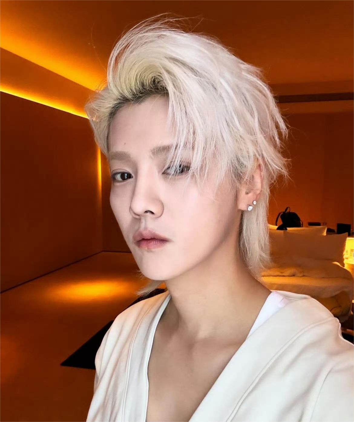 鹿晗更新海外社交平台动态,晒出了自己的最新自拍照,银发狼尾造型太帅