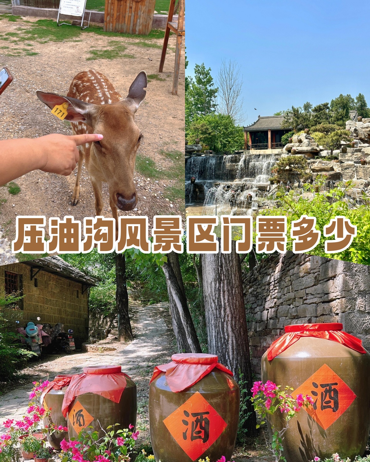 压油沟滑雪场门票图片