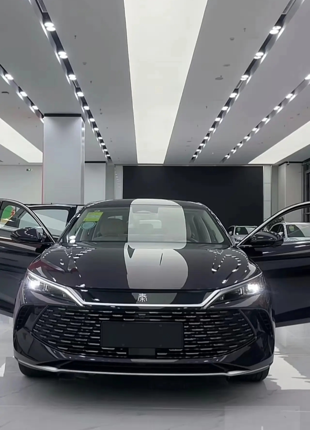 秦l续航不是2000公里而是2400公里全程空调看来比亚迪自研的dmi5