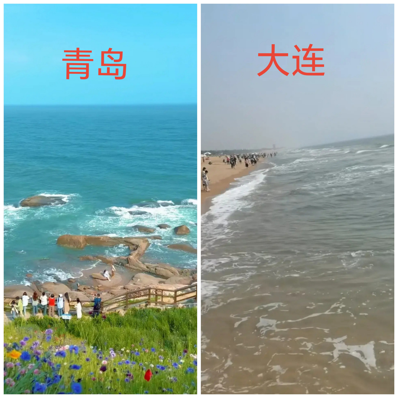 山东青岛和辽宁大连的海边风景,到底哪个更好?