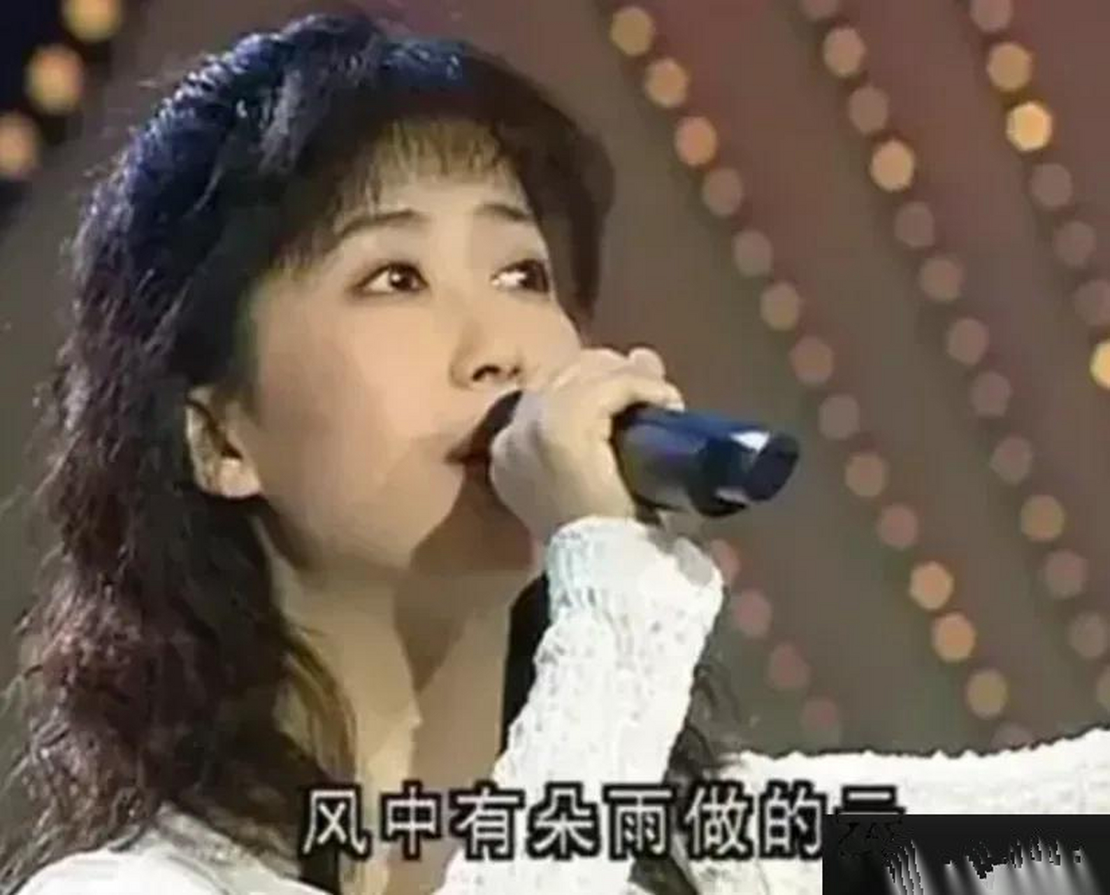 1995年,孟庭苇接到春晚邀约