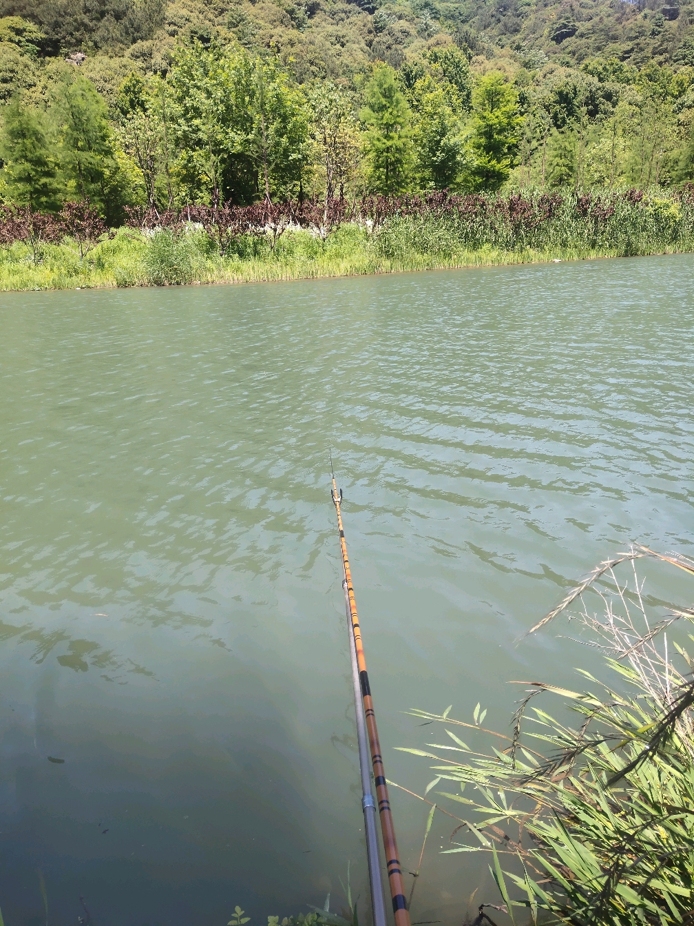 今天钓鱼的情况会好一点,因为早上的太阳没有那么强烈,一度还是阴天