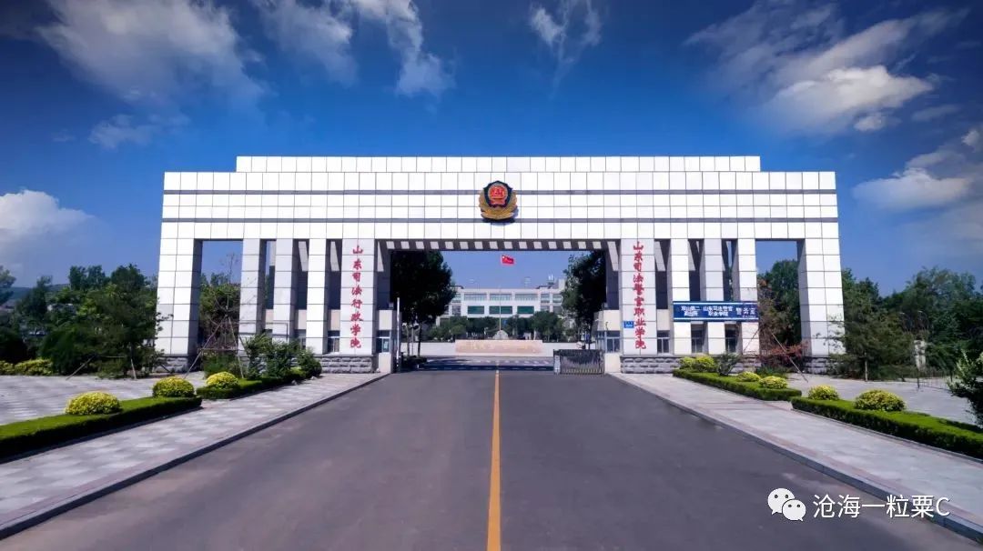 山东这两所院校,九成以上毕业生成为公务员,关键录取分数线不高