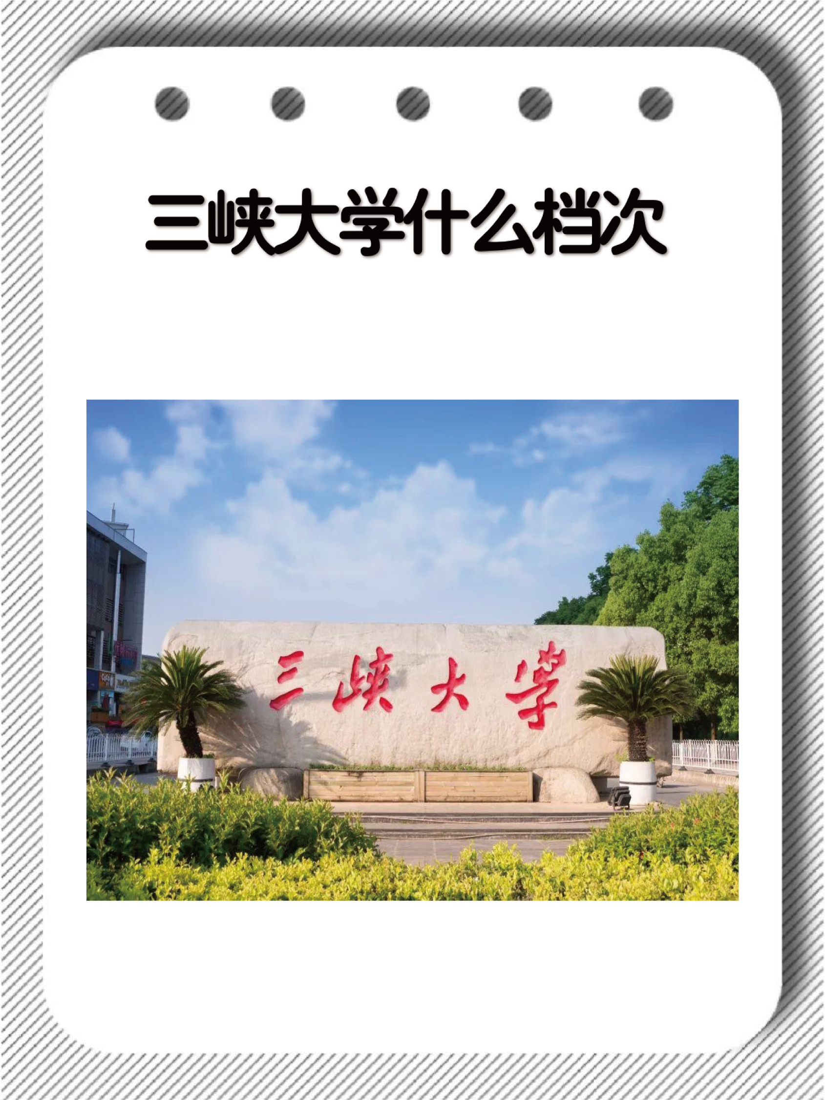 三峡大学教务处图片