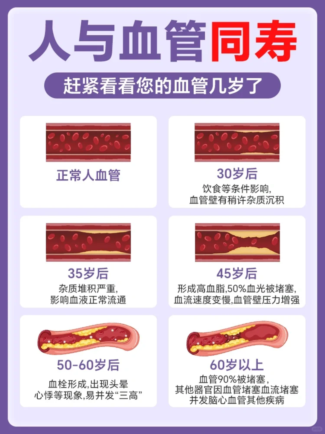 血管清理垃圾保护血管!