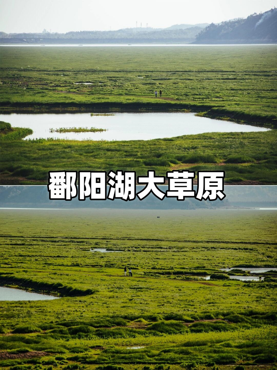 鄱阳湖大草原景区门票图片