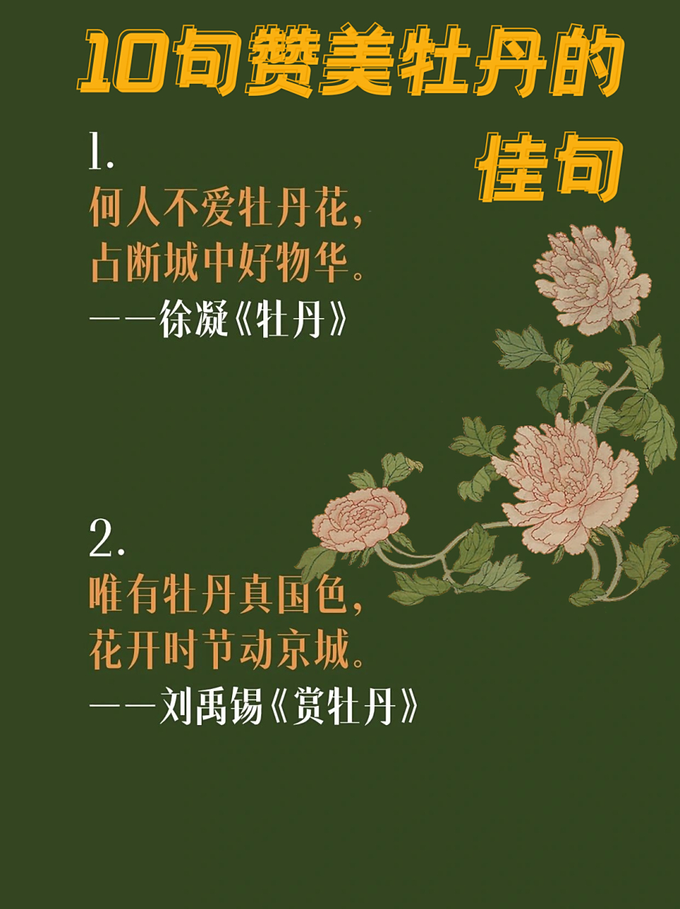 盛开的牡丹花非常迷人,就连古代的诗人,对牡丹花也是非常喜爱,于是