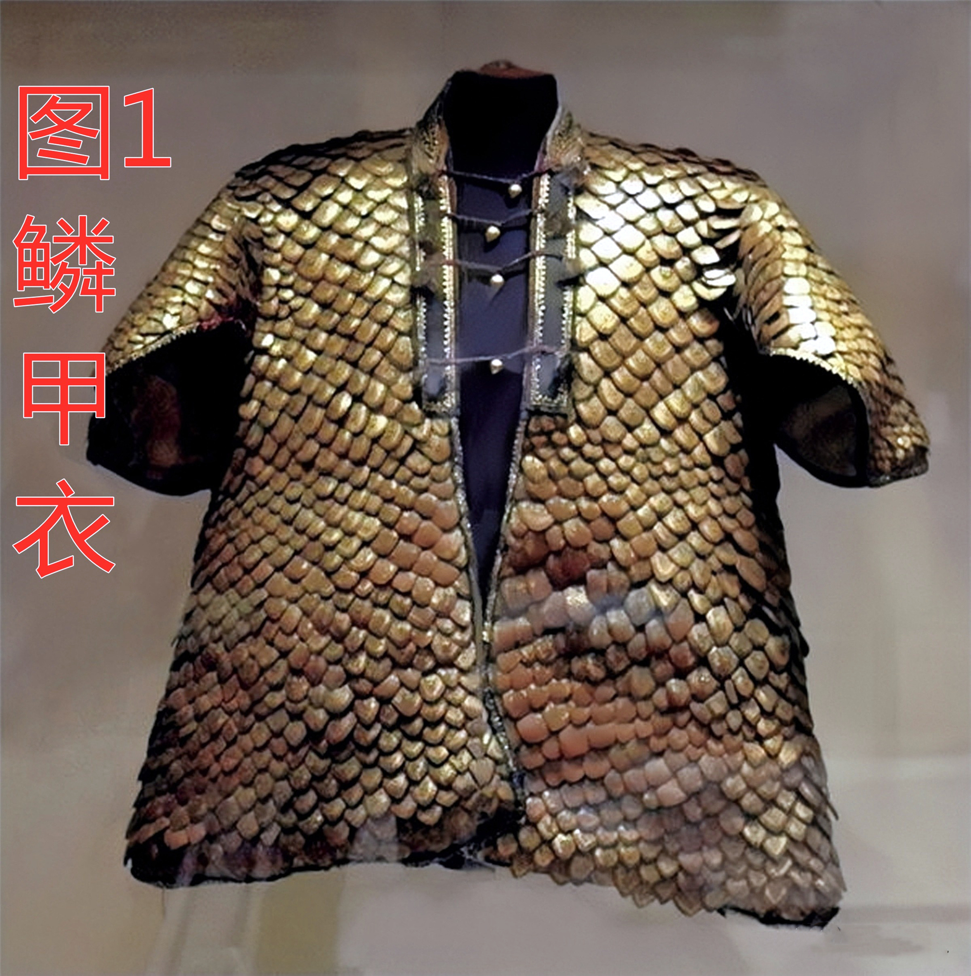 鳞甲衣使用穿山甲的鳞片制作的并做了镶嵌包金装饰