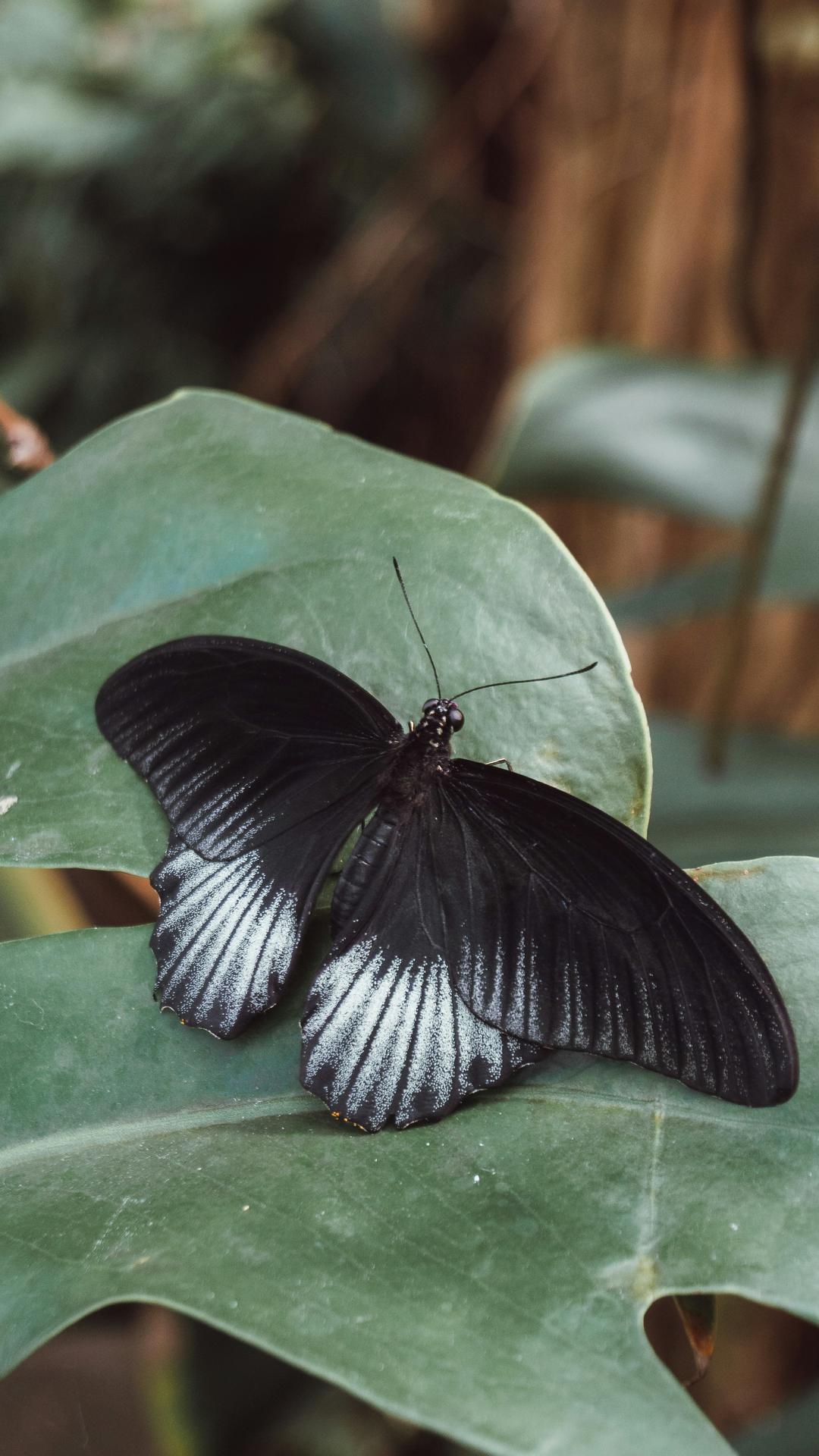 2,1995年5月1日,开始实行双休日