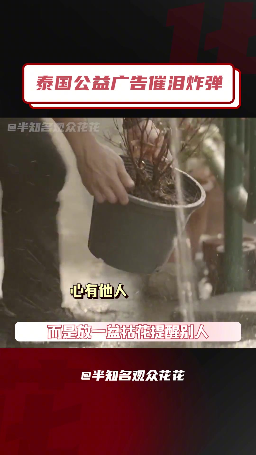 4666.泰国公益广告总是在不经意间猛戳泪点