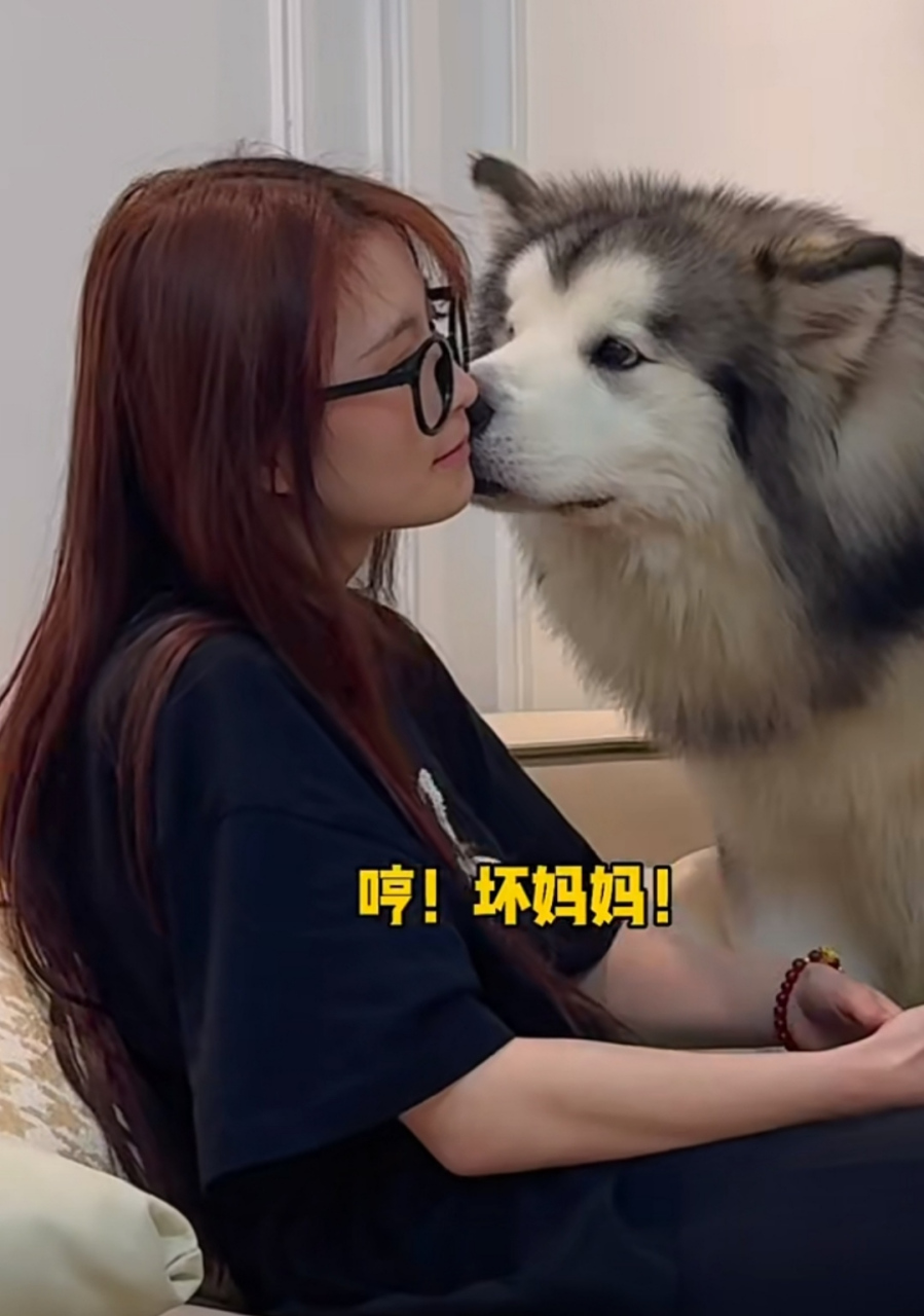 像受了委屈的娃,跟妈妈撒娇,求抱抱.