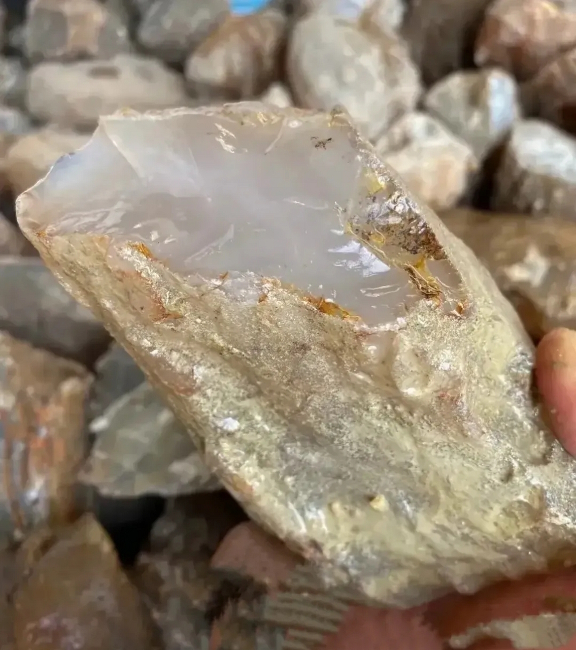 在一条小河里发现好多这种白色透明的石头,有没有人认识这是什么石?