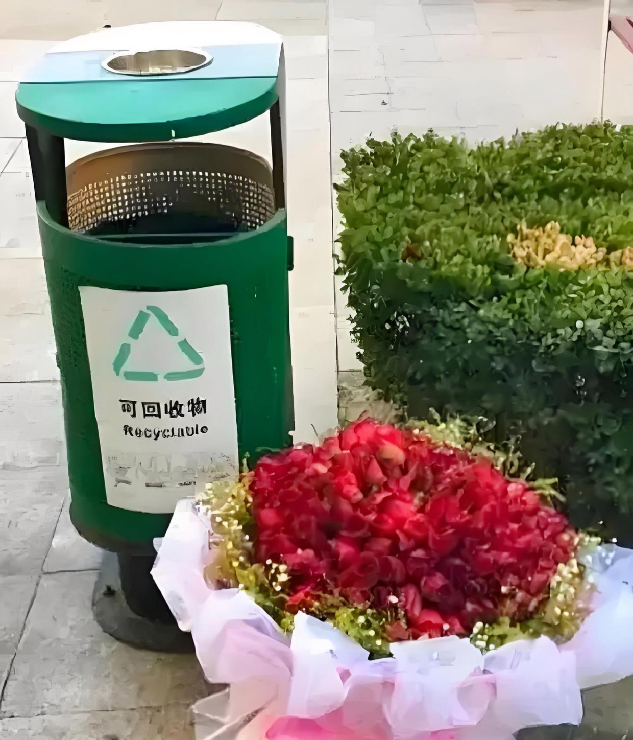 520都还没过完,就有人把玫瑰花丢在垃圾桶,明显就是男生人跟欣怡的