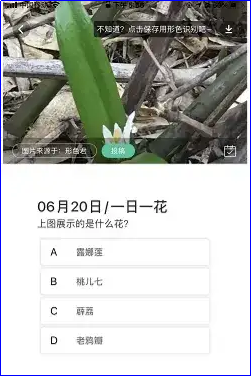 手机扫一扫识别花草,这三款软件一扫即知花草名!