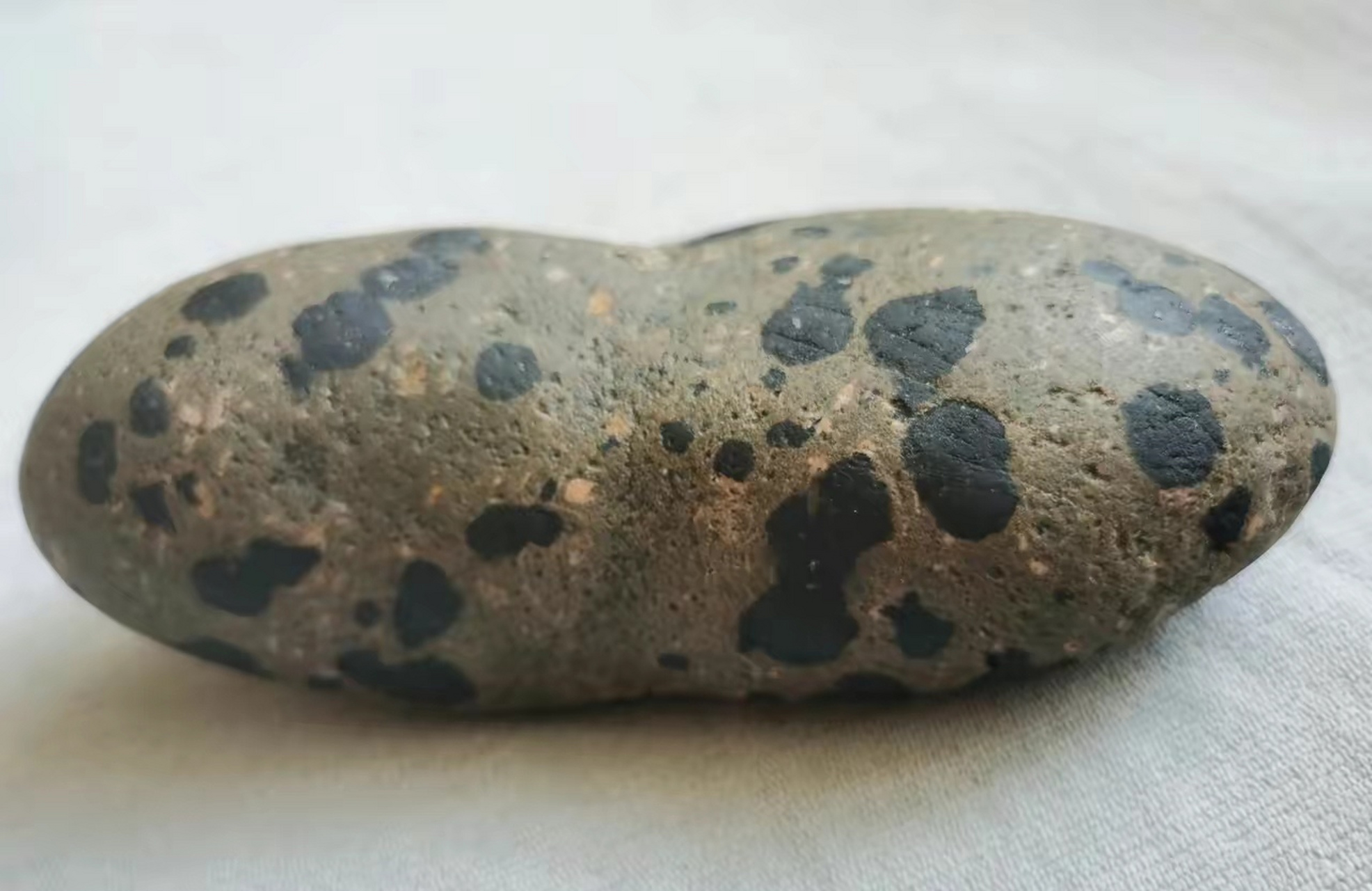 今天在河堤工地捡回一块最漂亮的碳质球粒陨石