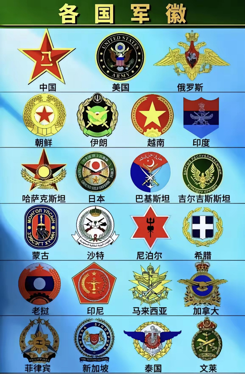 各国军徽一览,俄罗斯的双头鹰,一手拿剑,一手拿饼