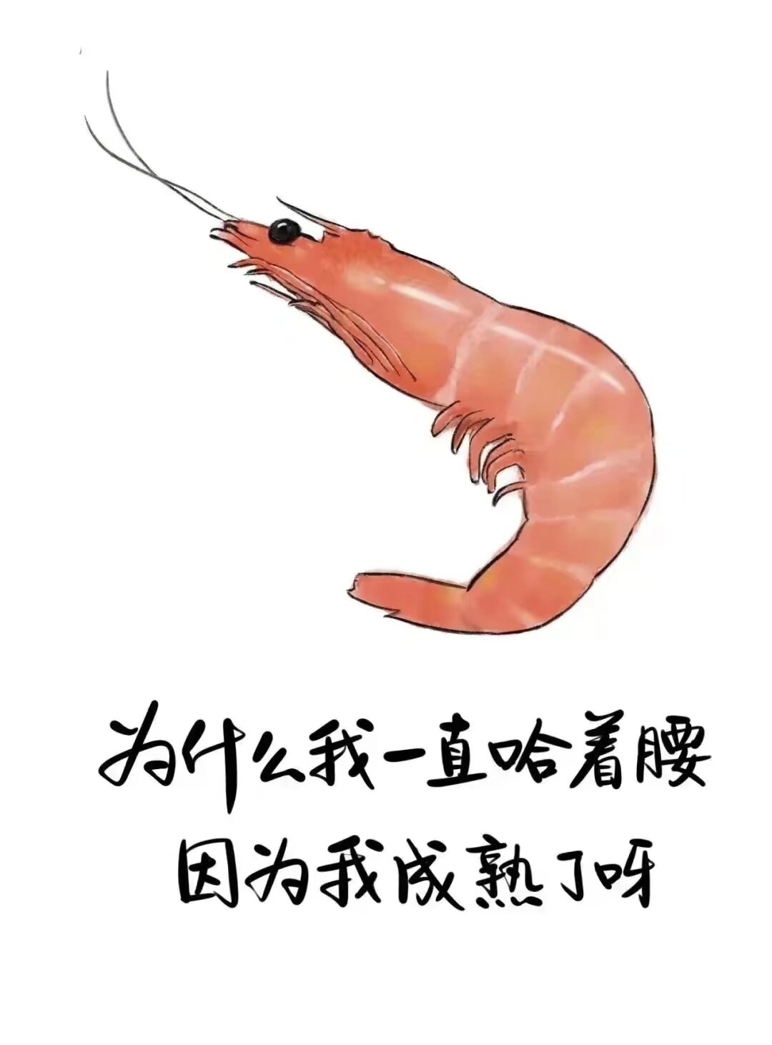 这些看似调侃的话,可不是随便说说而已,每一句都充满了智慧和幽默.
