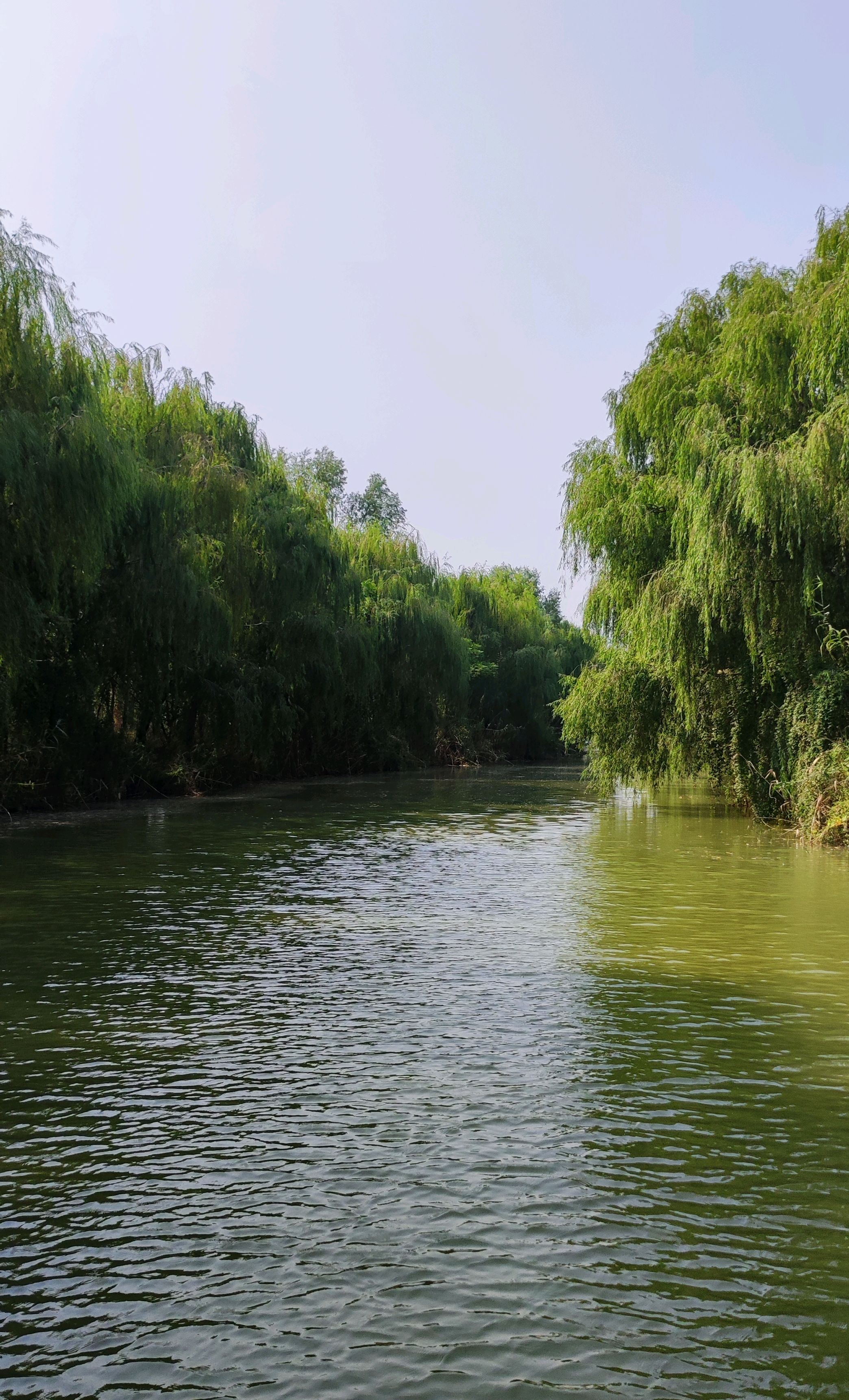 蚌埠一日游必去景点图片