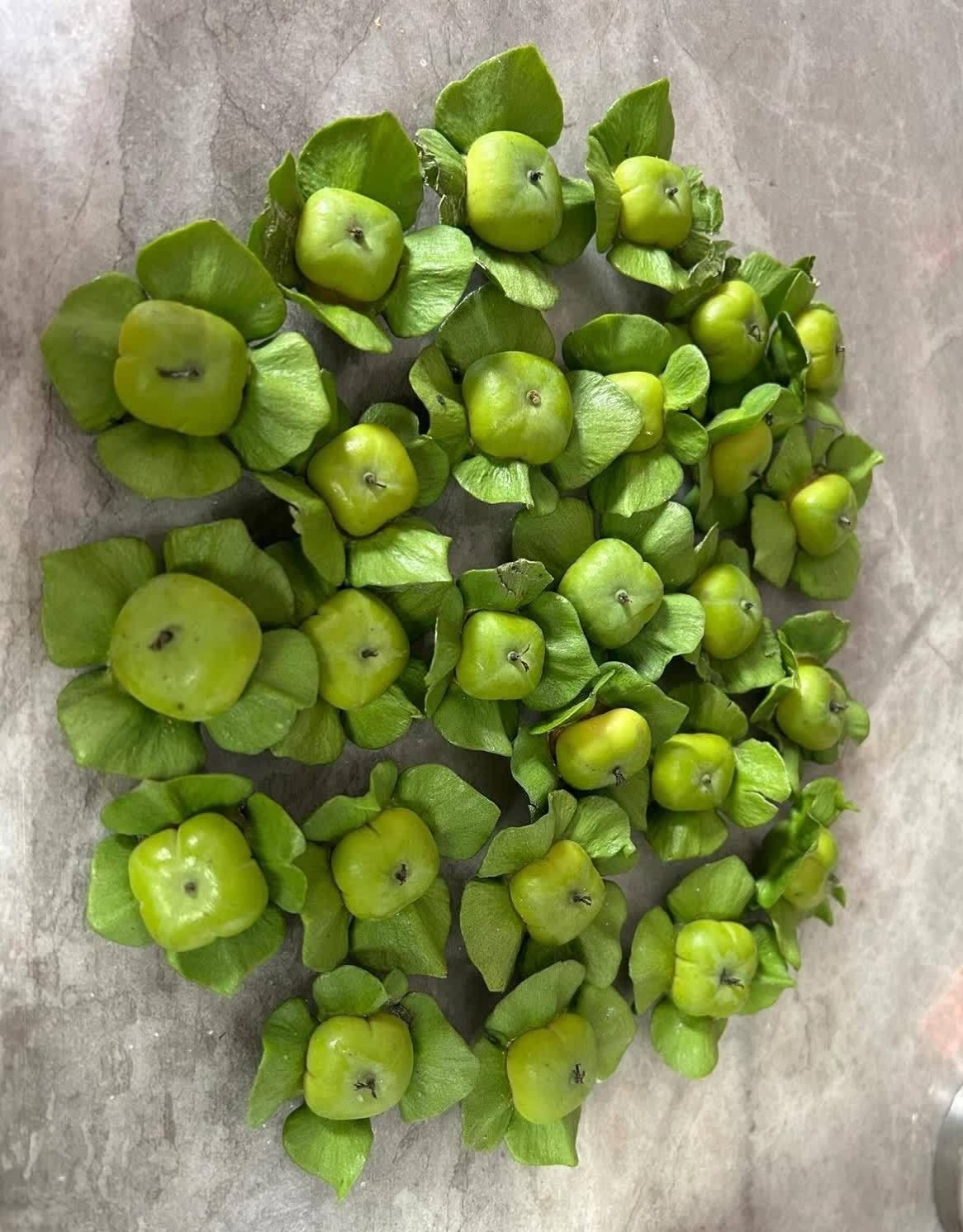 这颗绿色的柿子,其口感着实令人难以接受,有没有什么好办法能使它变得