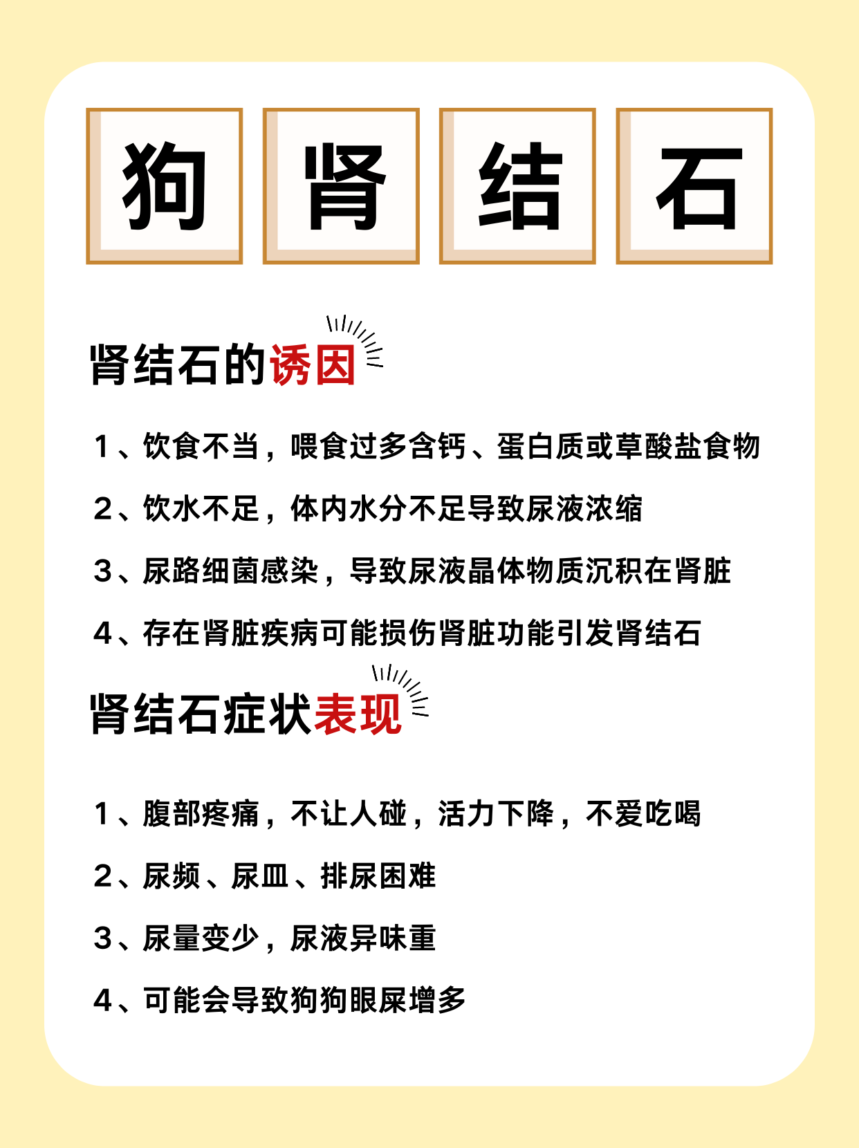 狗狗肾结石怎么办?有哪些诱因和表现?