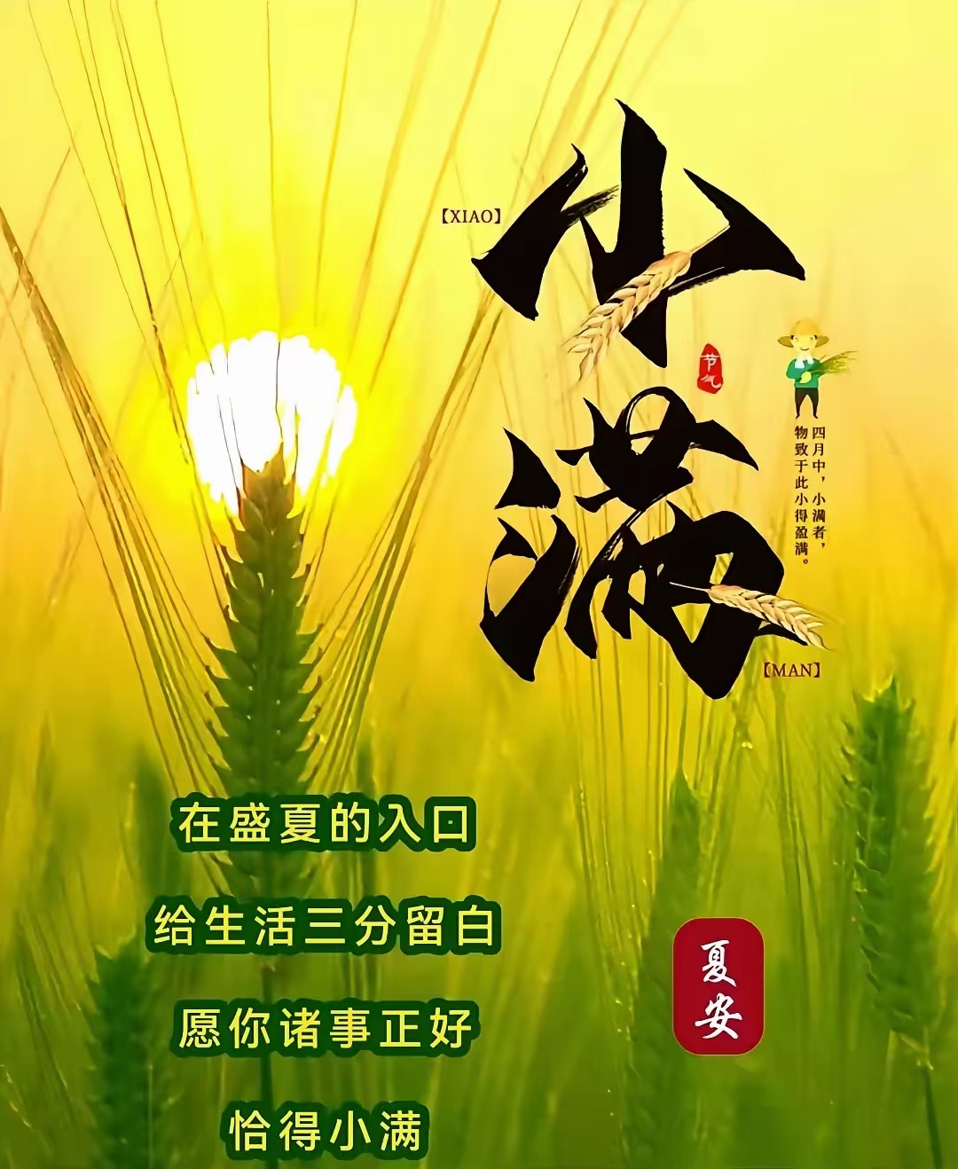 今年小满恰逢520, 在这个谐音"我爱你"的日子里, 祝福所有爱与被爱.