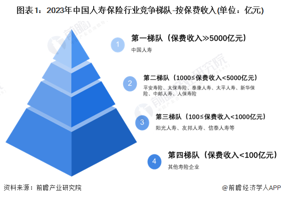 中国人寿的八大图图片