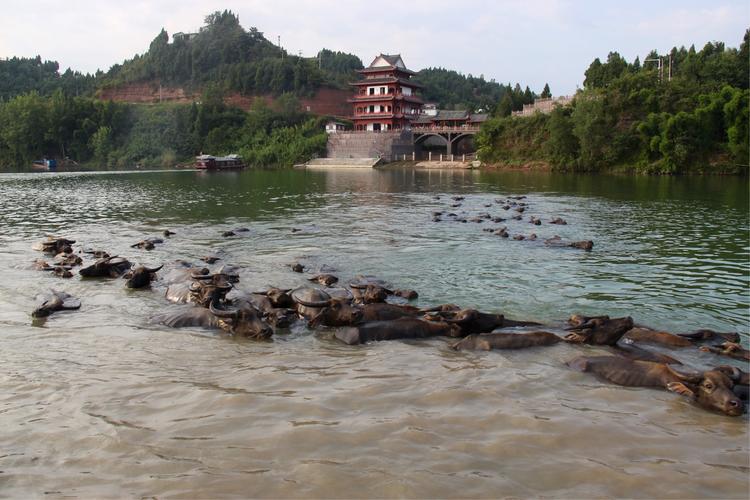 蓬安有什么好玩的景点图片