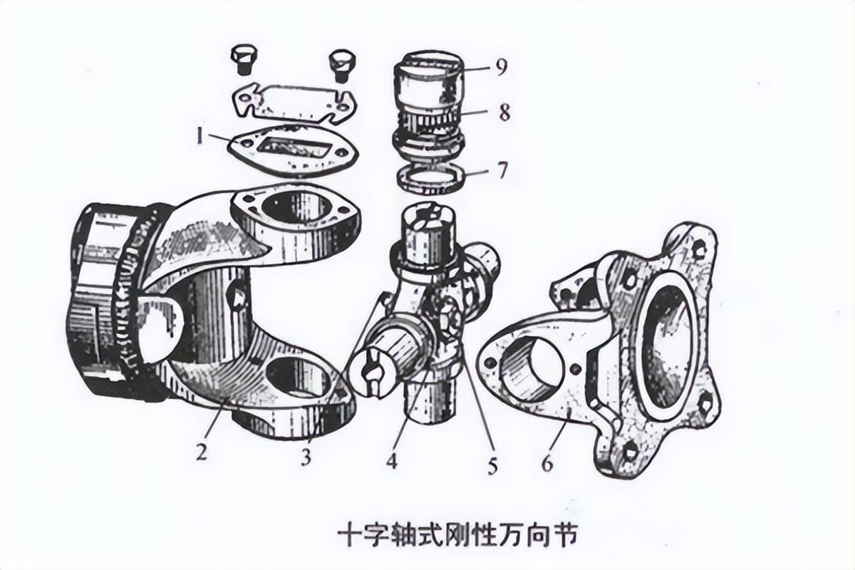 传动轴内部解剖图图片