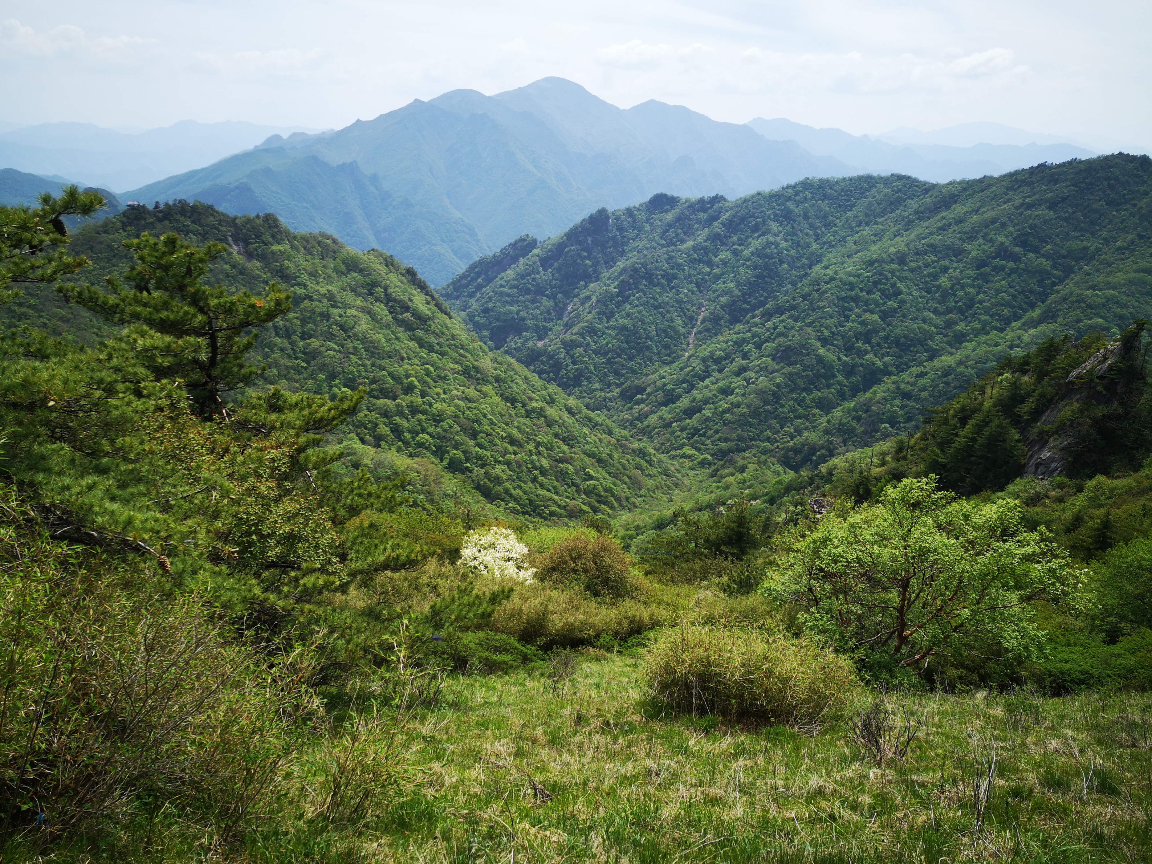 柞水县秦楚古道景区图片