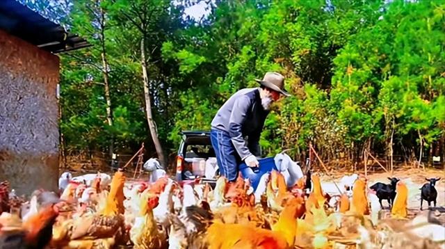 国外一家5口搬到贵州务农,2年花光200万,现称要一辈子住我国