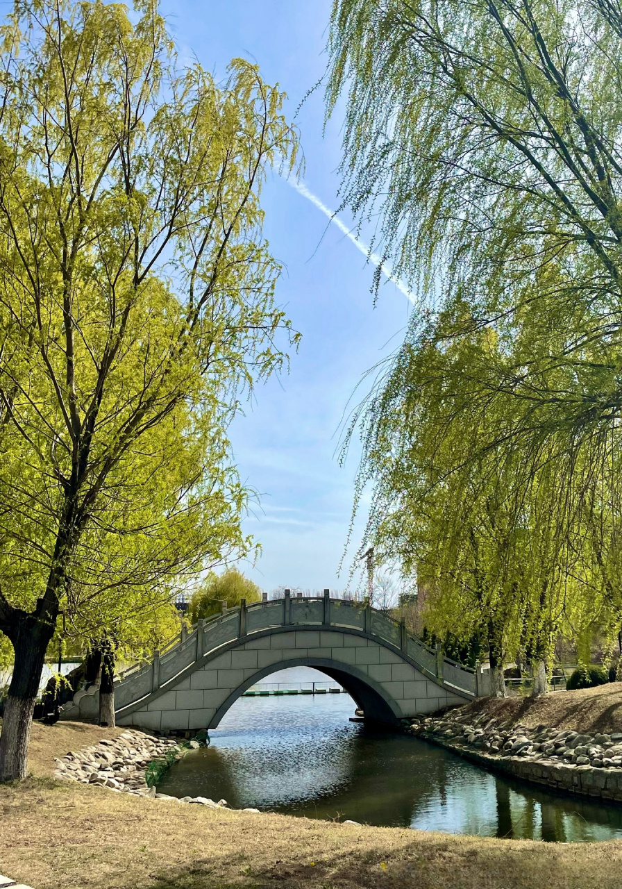 今天我们来聊聊辽宁师范大学海华学院的学费情况.