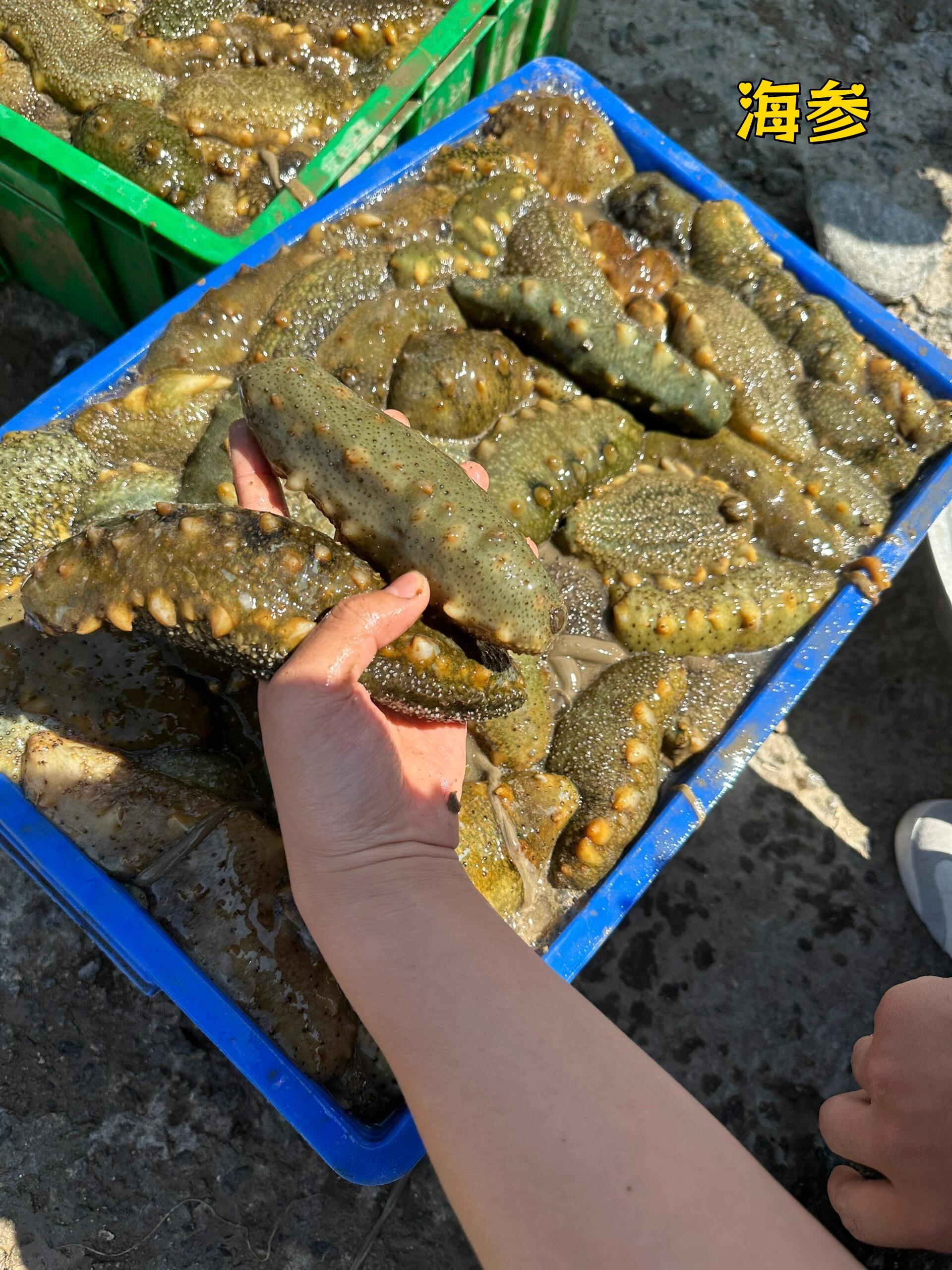 来威海旅游必买的五种特产!  来威海旅游还在买虾米鱼干做特产吗?