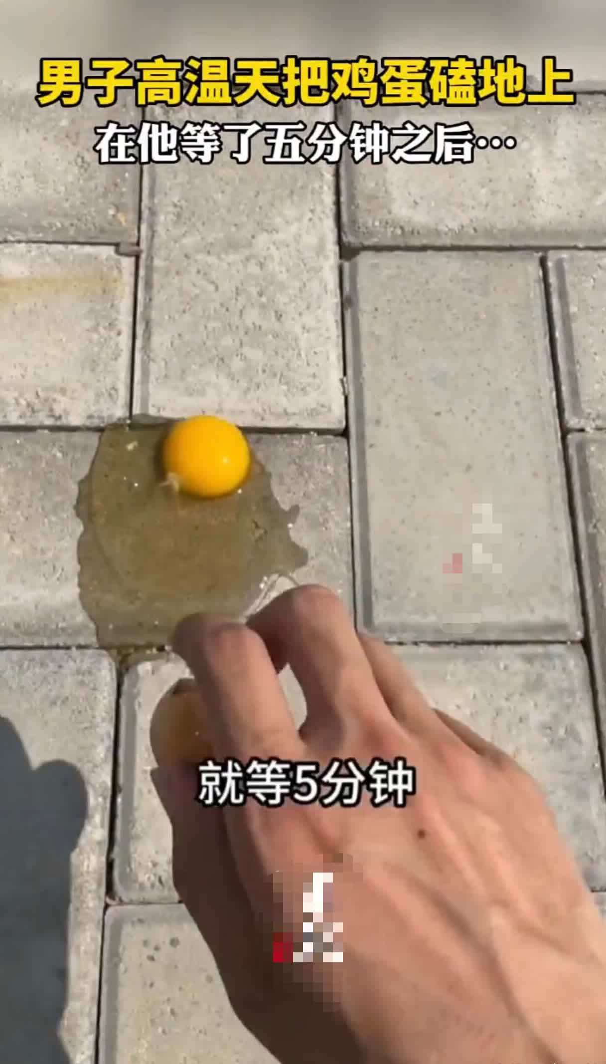 一名男子在炎热的天气里将鸡蛋砸在地上,等待了五分钟后,他的狗感慨地