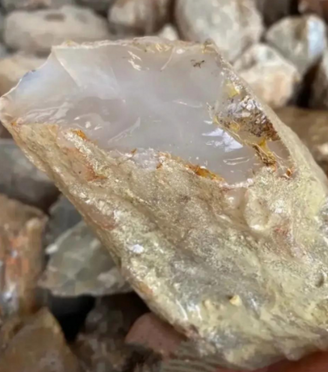 出差新疆去戈壁滩玩,发现一块这种白色透明的石头,这应该很值钱吧,有