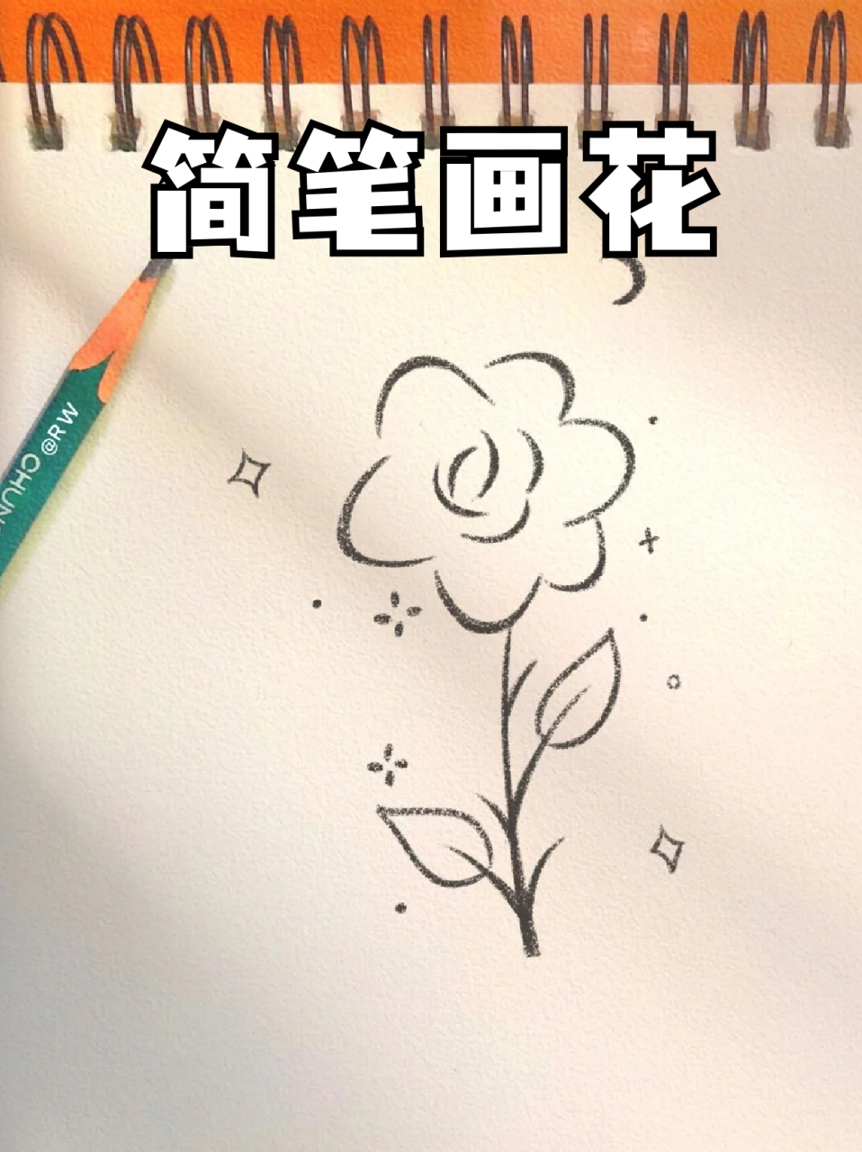 简笔画花 🔸一个好看的花朵能让自己每天都有好心情!