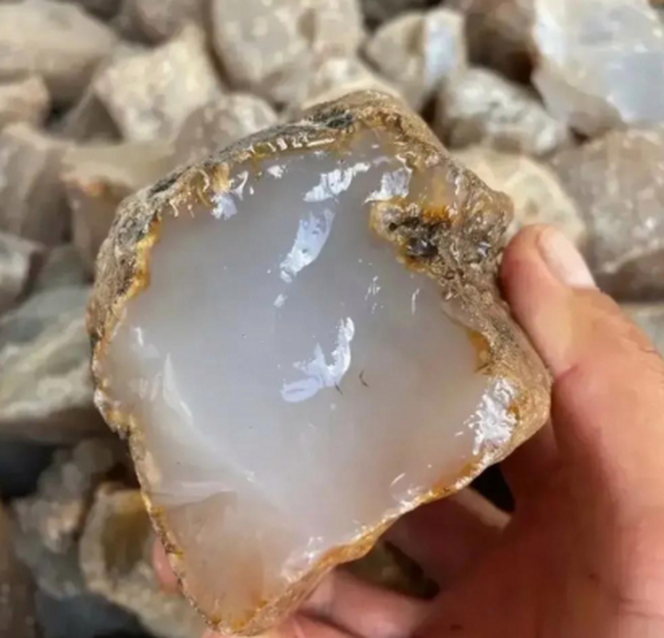 出差新疆去戈壁滩玩,发现一块这种白色透明的石头,这应该很值钱吧,有