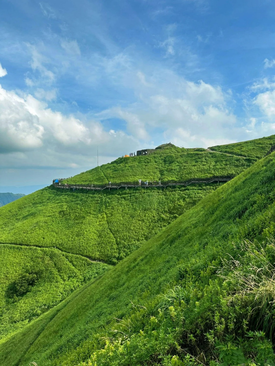 10万亩高山草甸绵延于海拔1600多米的高山之巅,穿云入雾,与天相接