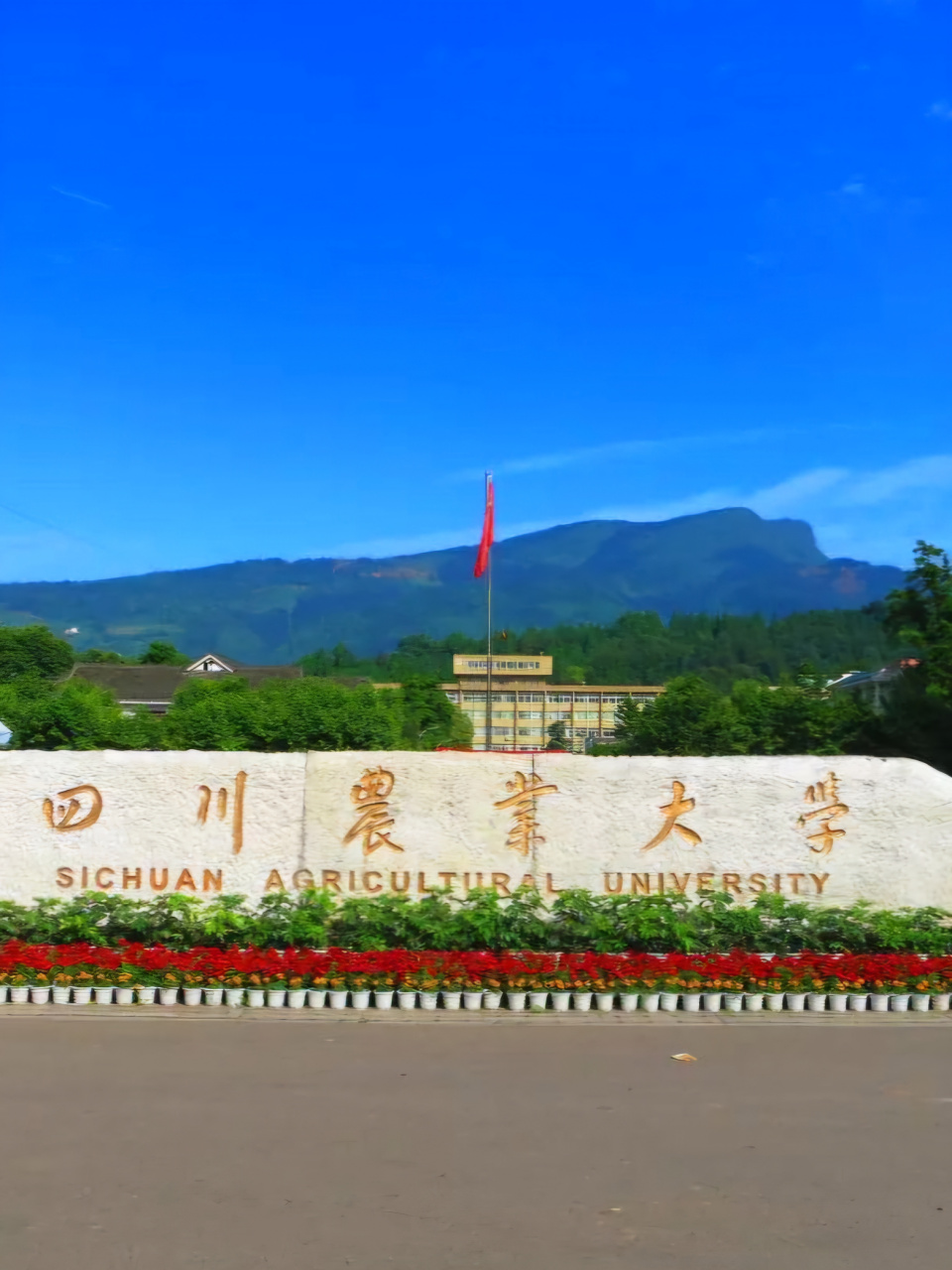 2024高考加油站# #最好的答案# 四川农业大学是211高校,先直接说