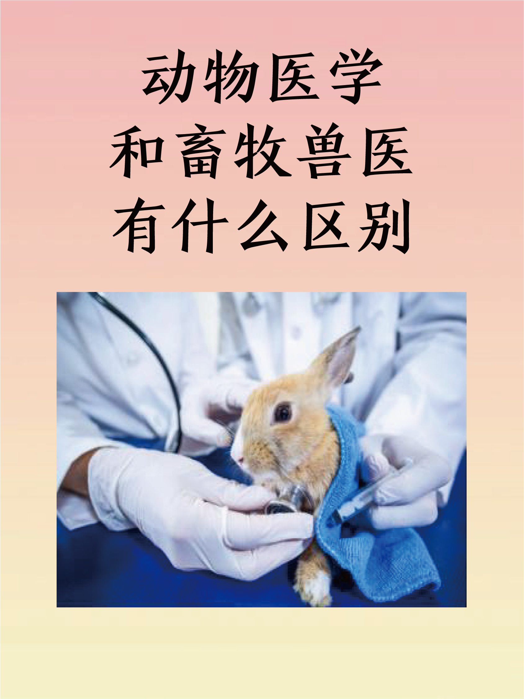 动物医学和畜牧兽医有什么区别