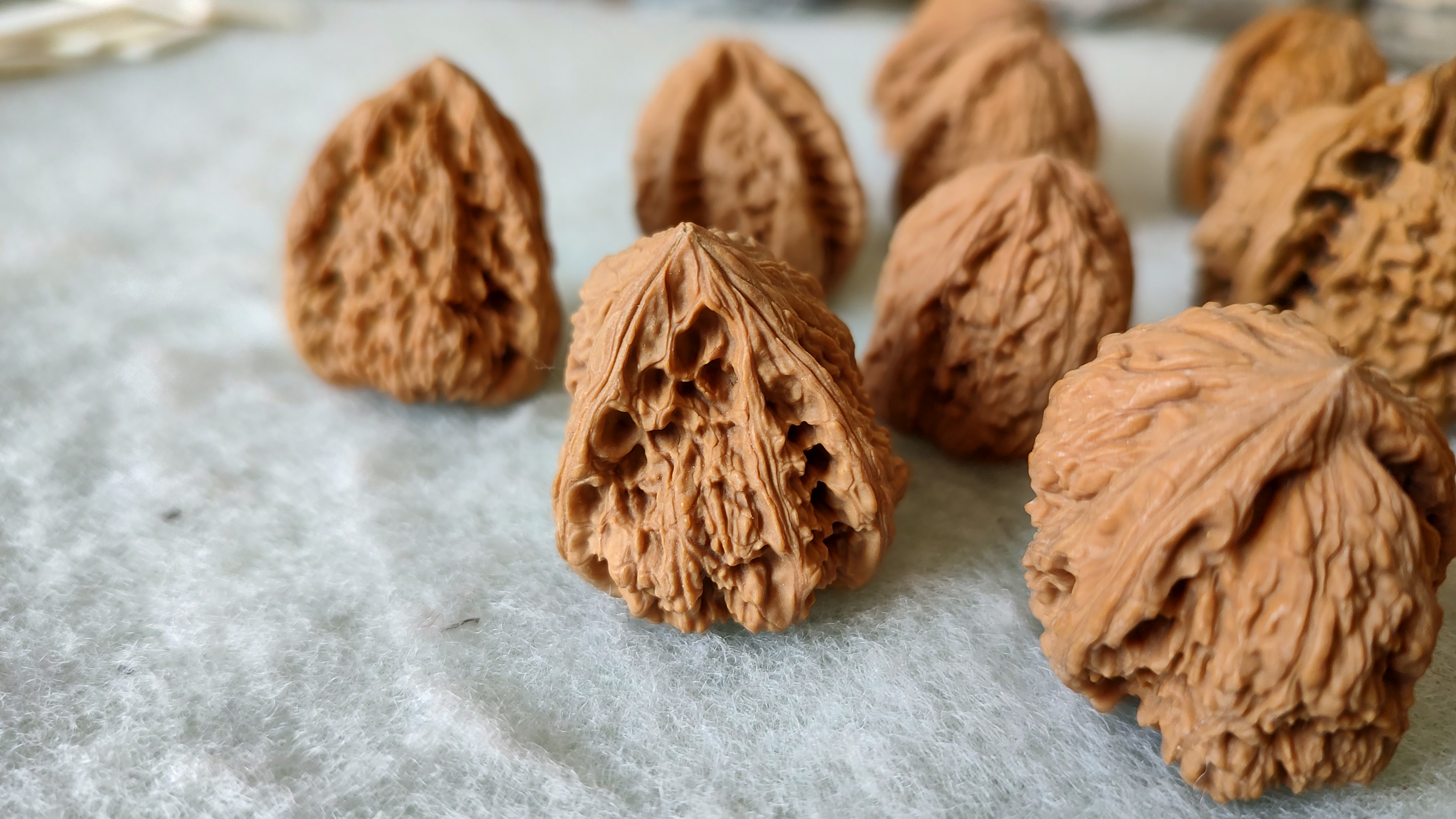 风氏文玩收藏馆:麻核桃龟背单只——2024异形第二季